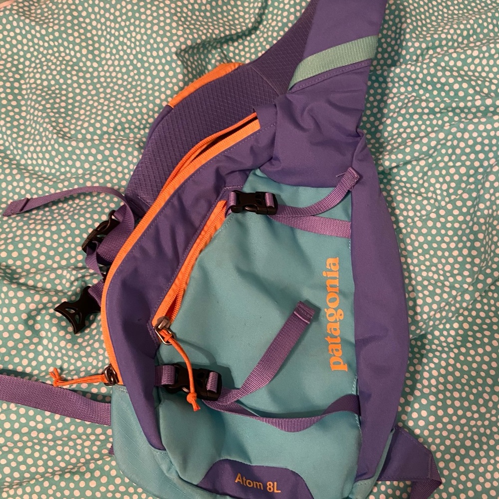 patagonia cross body bag
